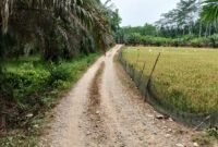 Jalan pertanian di Dusun V Kebun Buah Desa Halaban, Kecamatan Besitang.