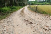 Jalan pertanian di Dusun V Kebun Buah Desa Halaban, Kecamatan Besitang.