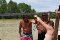 Turis asing menemukan Ular Tiung di belantara Mangrove, Desa Tanjung Ibus, Kecamatan Secanggan, Langkat, Sumatera Utara.