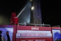 Tim Damkar Pemkab Langkat saat membasmi sarang labah di Tugu T Amir Hamzah.
