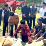 Pengurus DPW Partai NasDem menyaksikan penyembelihan hewan qurban