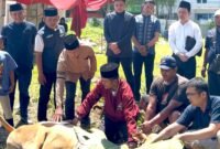 Pengurus DPW Partai NasDem menyaksikan penyembelihan hewan qurban.