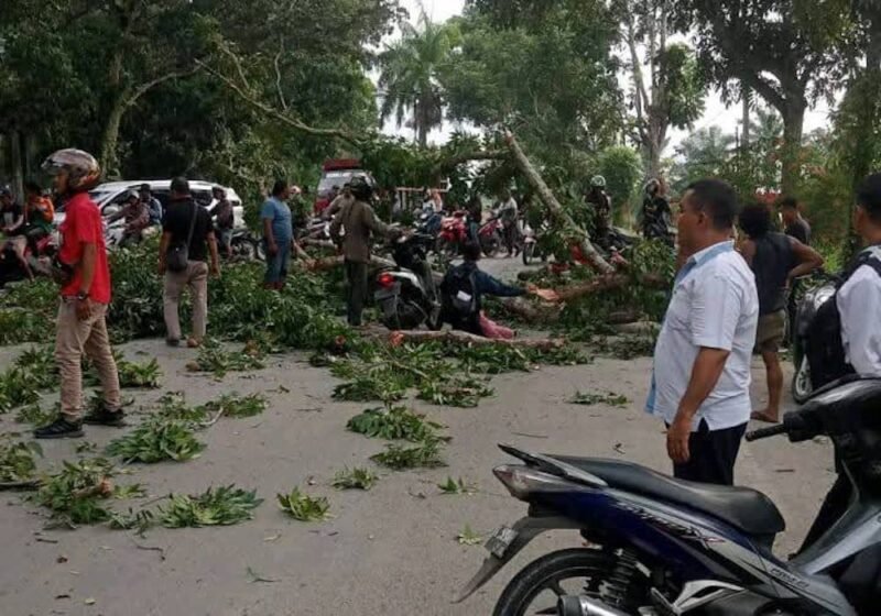 Dahan pohon perindang yang patah menimpa pengendara di sekitar Jembatan Penceng, Kelurahan Kwala Bingai, Kecamatan Stabat, Langkat.