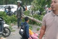 Dahan pohon perindang yang patah menimpa pengendara di sekitar Jembatan Penceng, Kelurahan Kwala Bingai, Kecamatan Stabat, Langkat.