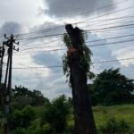 Screenshot_20260112_202251_WhatsApp