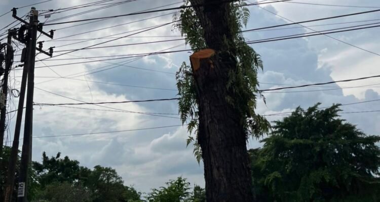 Screenshot_20260112_202251_WhatsApp