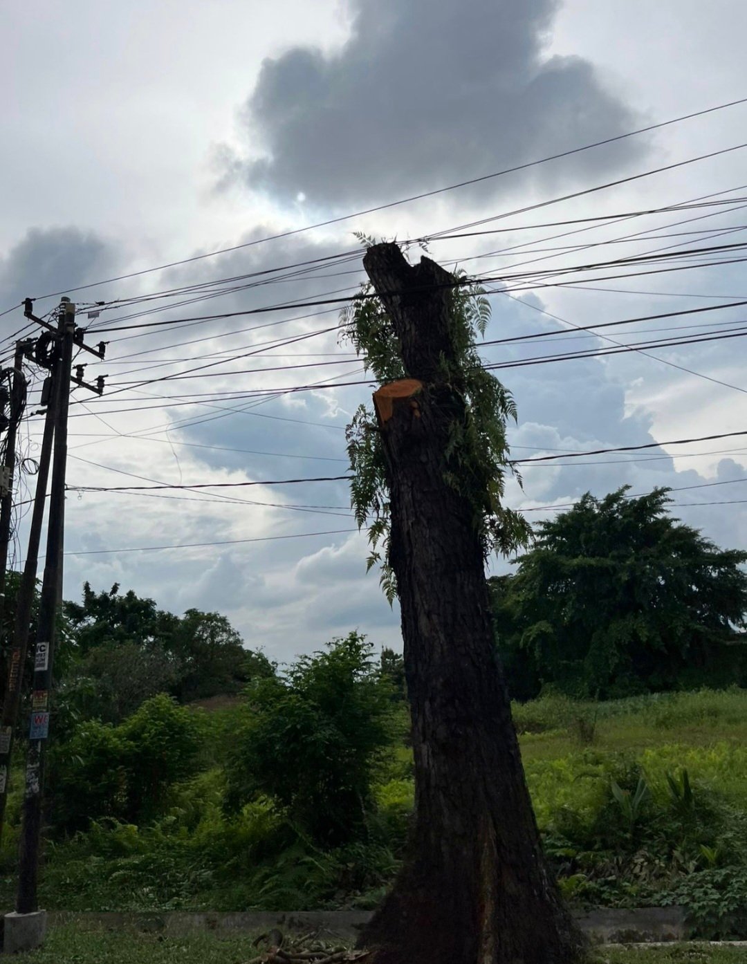 Screenshot_20260112_202251_WhatsApp