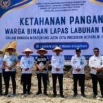 Screenshot_20260205_184526_Gallery