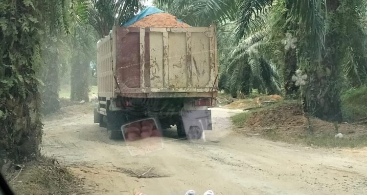 Trik pengangkut material galain C yang diduga ilegal di Kelurahan Bingai, Kecamatan Wampu, Langkat saat melintasi perkebunan PT LNK