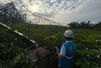 Petugas PLN bergerak cepat memulihkan tower transmisi kelistrikan yang roboh.