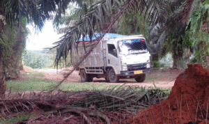 Galian C ilegal Galian C ilegal