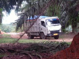 Lokasi galian c yang diduga ilegal di Kelurahan Bingai, Kecamatan Wampu, Langkat masih tetap eksis.