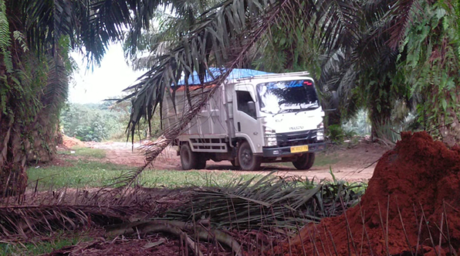 
Lokasi galian c yang diduga ilegal di Kelurahan Bingai, Kecamatan Wampu, Langkat masih tetap eksis.