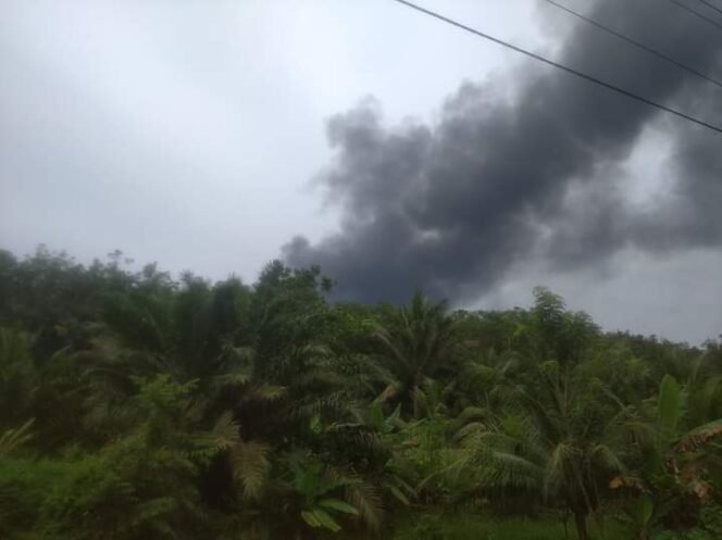 
Asap membumbung tinggi yang diduga disebabkan dapur penyulingan minyak mentah (Kondensat) ilegal terbakar di Desa Air Hitam, Kecamatan Gebang, Langkat.