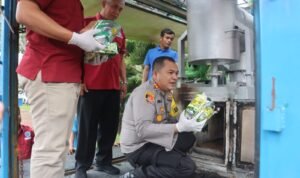 Pemusnahan narkoba Polres Langkat1 Pemusnahan narkoba Polres Langkat1