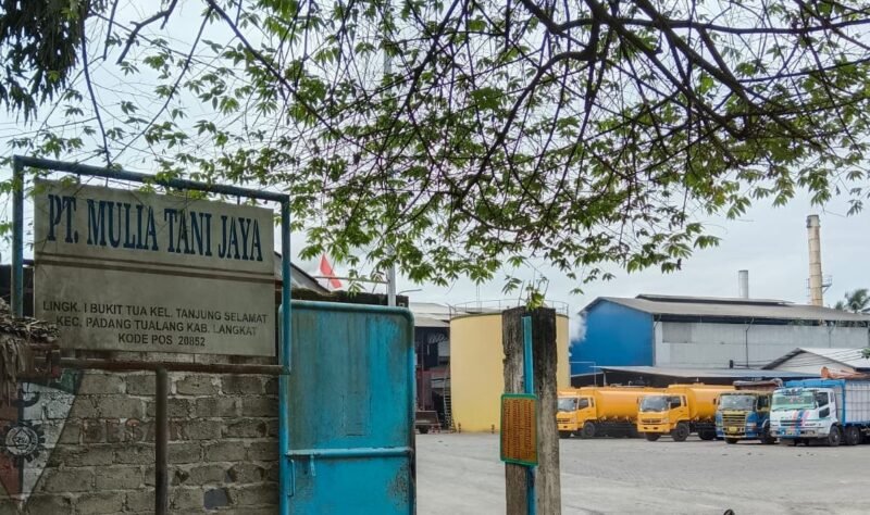 Pabrik pengolahan buah kelapa sawait PT Mulia Tani Jaya (MTJ) di Kecamatan Padang Tualang, Langkat.