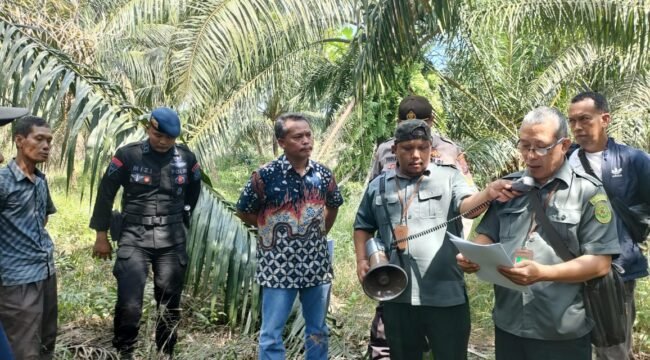Panitera PN Stabat membacakan penetapan putusan pengadilan di lokasi lahan yang akan dieksekusi.