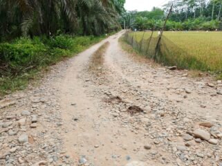 Jalan pertanian di Dusun V Kebun Buah Desa Halaban, Kecamatan Besitang.