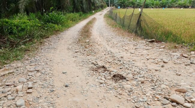 Jalan pertanian di Dusun V Kebun Buah Desa Halaban, Kecamatan Besitang.