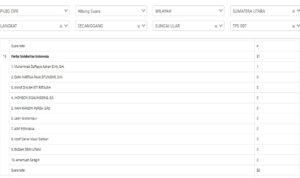 Tampilan data perolehan suara PSI di Desa Sungai Ular, Kecamatan Secanggan, Langkat, Sumatera Utara