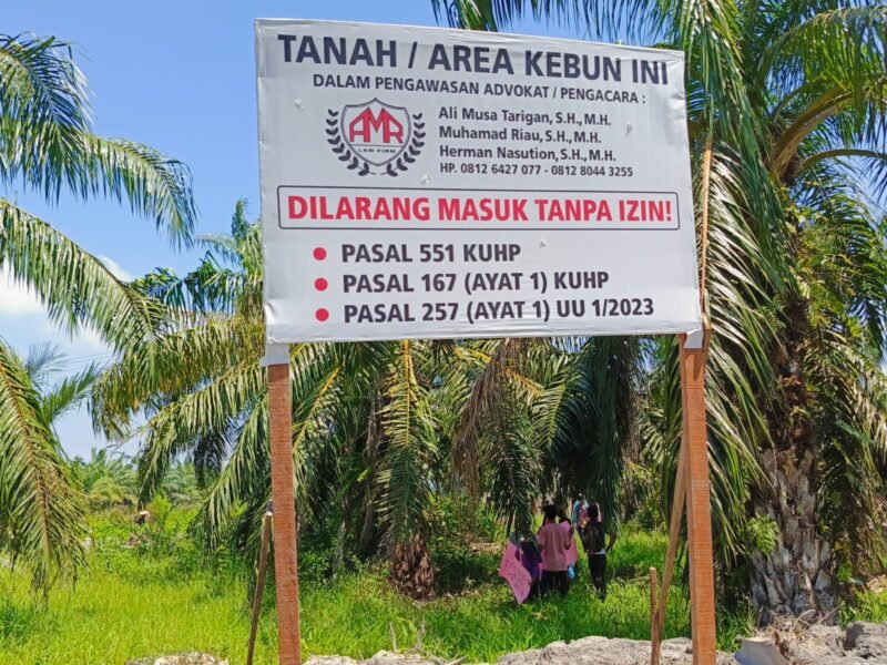 Plang yang didirikan di dalam kawasan hutan lindung.