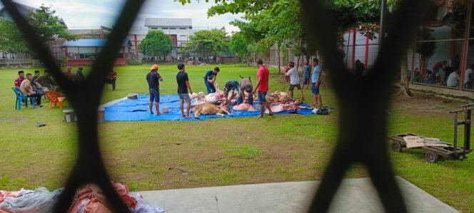 
WBP Lapas Narkotika Kelas IIA Langkat bergotongroyong menyembelih hewan kuraban, Senin (17/6/2024)