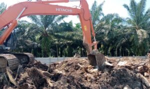 Alat berat mencacah batang sawit di lokasi proyek Rest Area Tol Medan-Binjai, sebelum diangkut dan dipergunakan untuk masyarakat sekitar