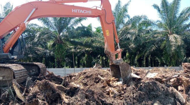 Alat berat mencacah batang sawit di lokasi proyek Rest Area Tol Medan-Binjai, sebelum diangkut dan dipergunakan untuk masyarakat sekitar.