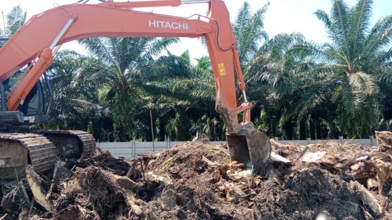 Alat berat mencacah batang sawit di lokasi proyek Rest Area Tol Medan-Binjai, sebelum diangkut dan dipergunakan untuk masyarakat sekitar.
