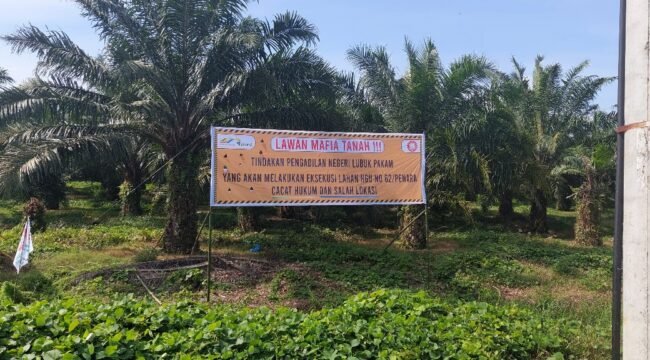 Lahan Hak Guna Usaha (HGU) PTPN II (sekarang PTPN 1 Regional 1) di Penara, Kecamatan Tanjung Morawa.