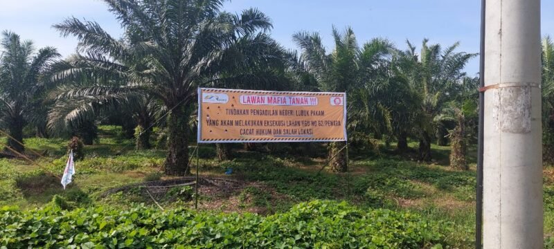 Lahan Hak Guna Usaha (HGU) PTPN II (sekarang PTPN 1 Regional 1) di Penara, Kecamatan Tanjung Morawa.