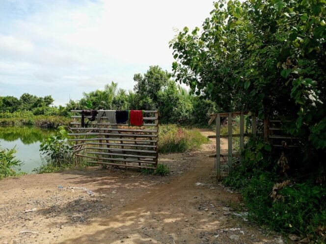 
Gerbang di lokasi tambak Iskandar Sugito yang menghalangi akses jalan warga dan petambak di Desa Tanjung Ibus, Kecamatan Secanggang, Langkat.