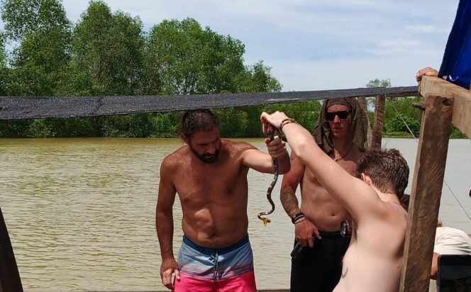 
Turis asing menemukan Ular Tiung di belantara Mangrove, Desa Tanjung Ibus, Kecamatan Secanggan, Langkat, Sumatera Utara.