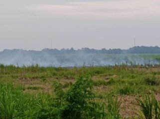 Areal pekebunan tebu Sinergi Gula Nusantara (SGN) Rayon A Kwala Madu yang terbakar.