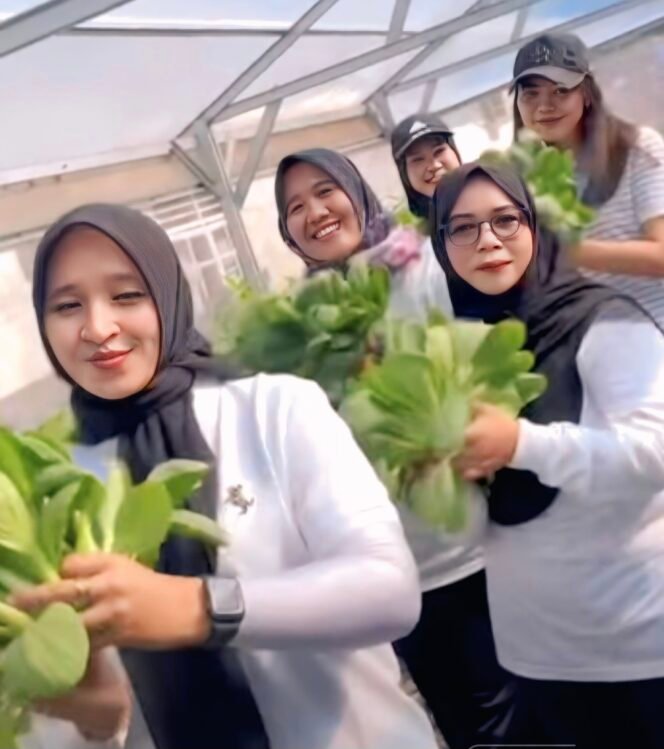 
Rutan Perempuan Medan Panen Pakcoy, Dukung Ketahanan Pangan dan Program Nasional