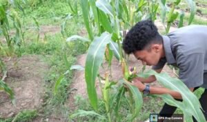 Screenshot_20250619_231900_Gallery