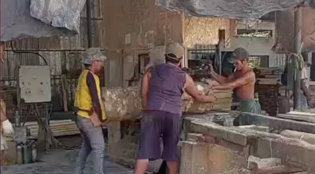 Pekerja PT KPU tidak menggunakan APD saat menggergaji kayu.