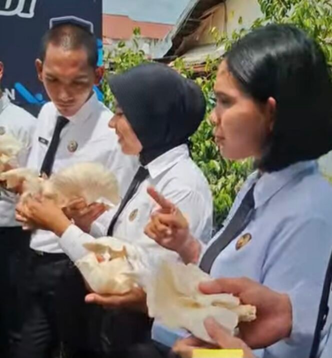 
Panen Jamur Tiram Hasil Budidaya Warga Binaan Rutan I Medan